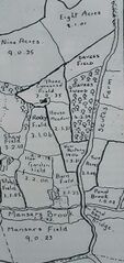 1763 Field map of area north of Alexandra park